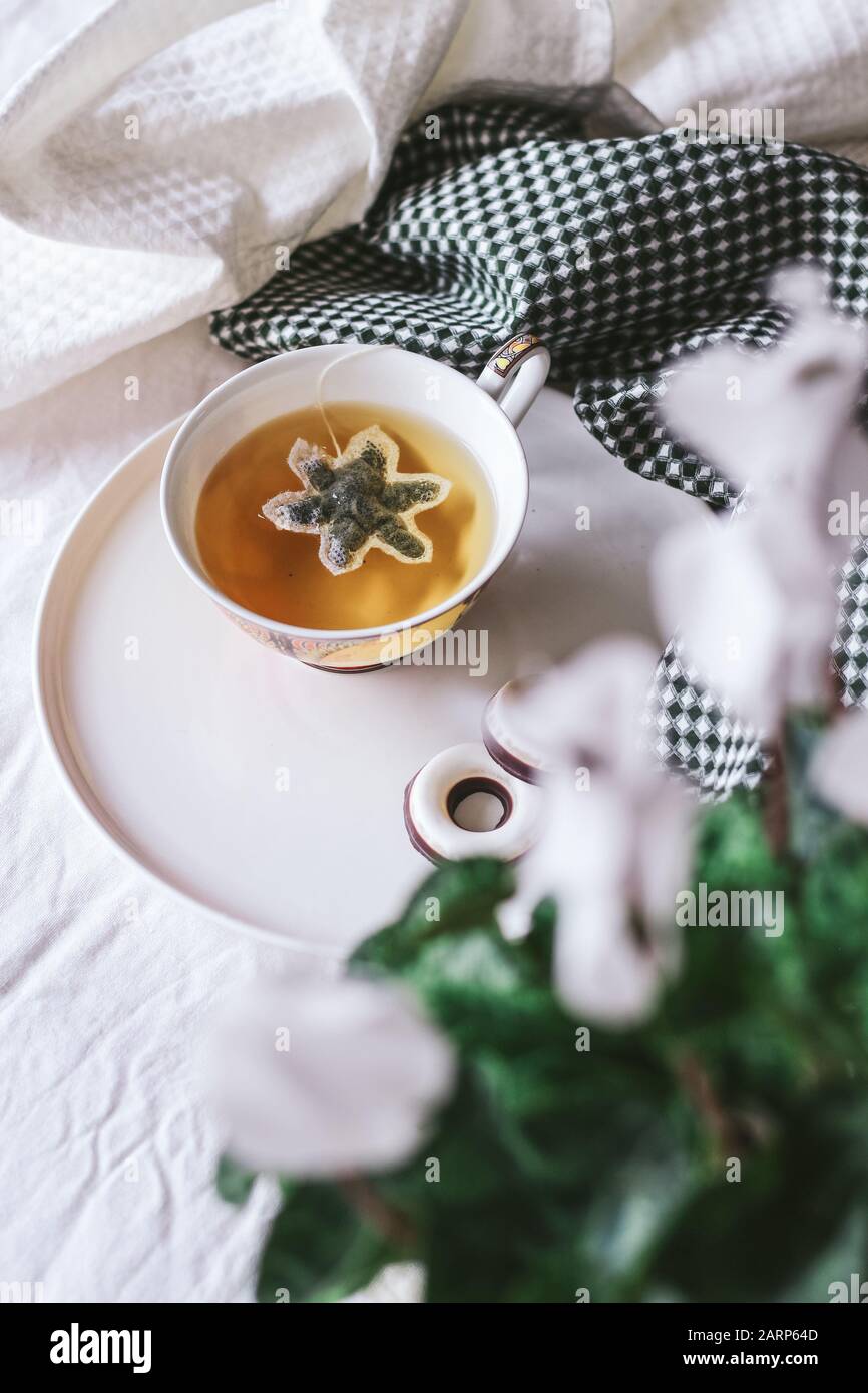 A tea cup with a snowflake tea bag on a white background and white cyclamen flower in the first plan in bokeh (blurred) Stock Photo