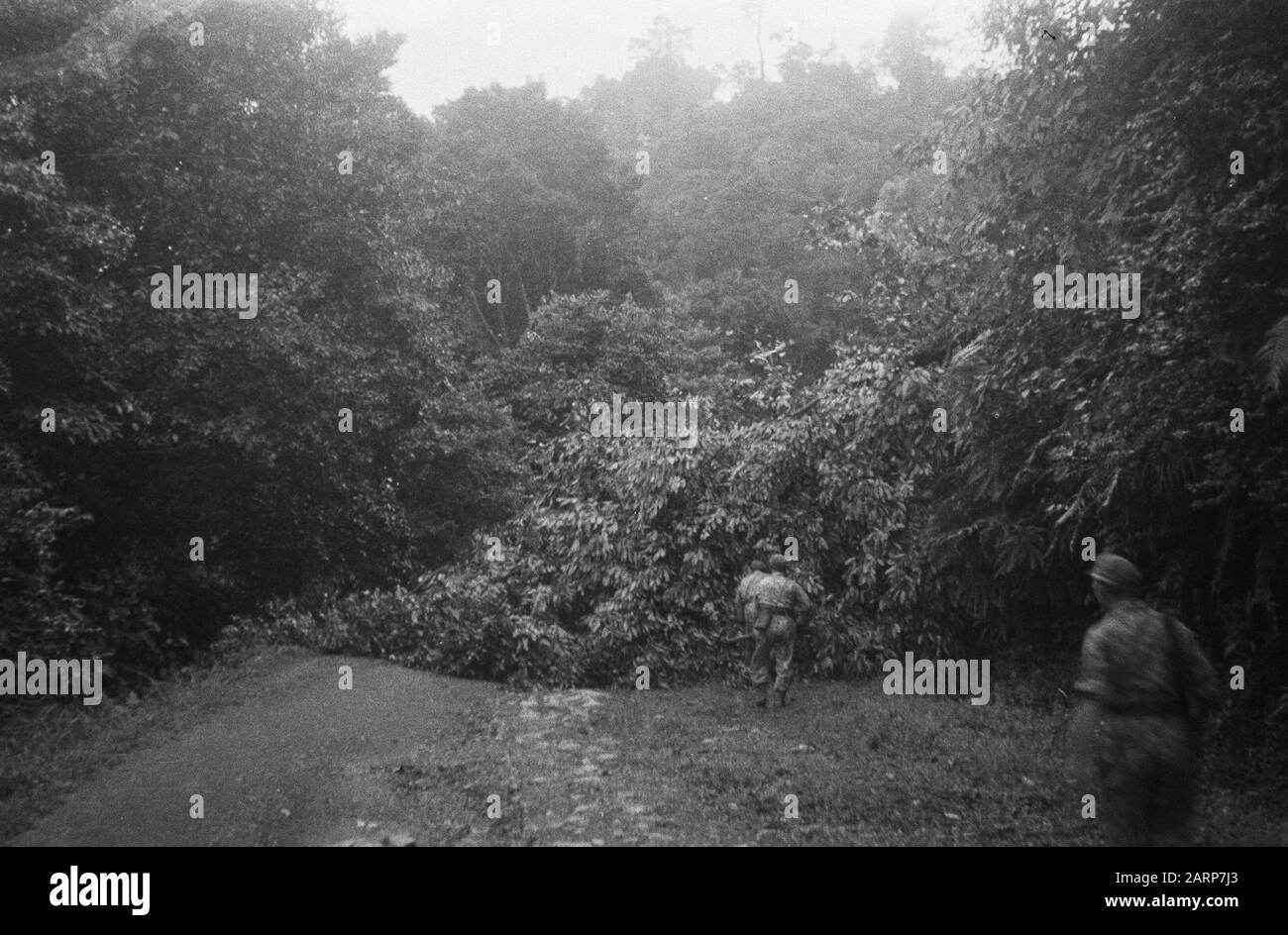 Loeboek Pakem en Baoengan  [a patrol stumbles upon a chopped tree as a roadblock} Date: 29 July 1948 Location: Indonesia, Dutch East Indies, Sumatra Stock Photo
