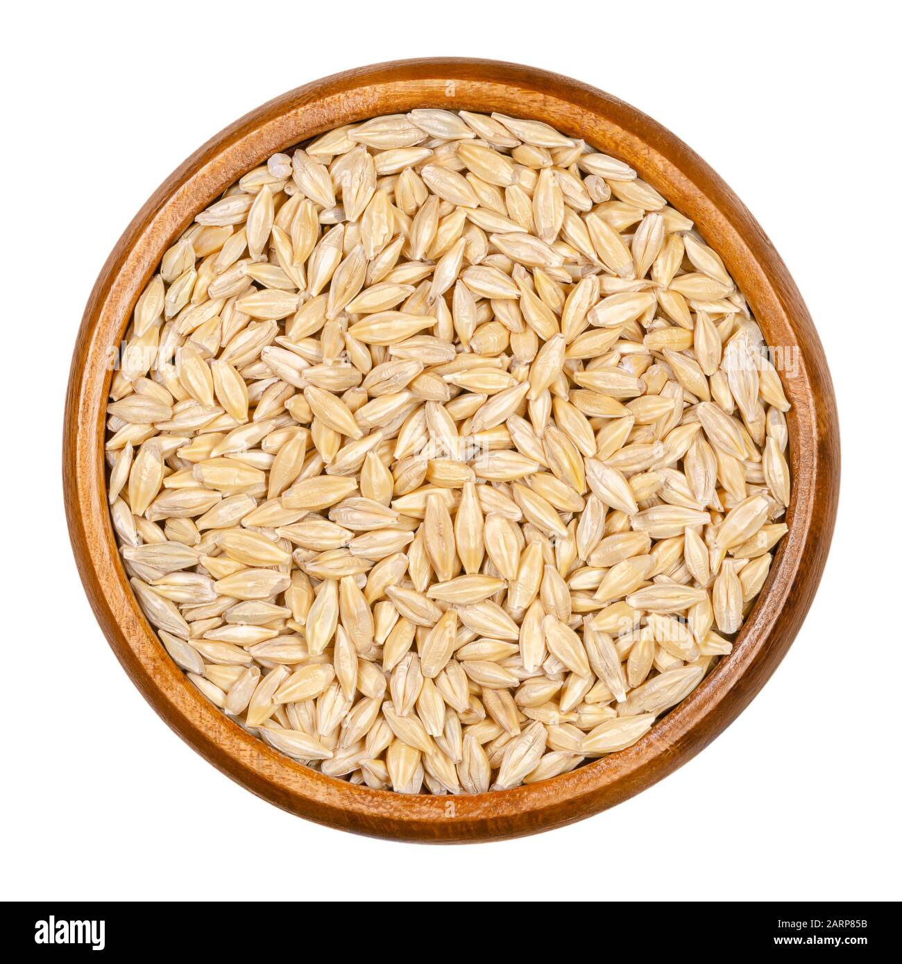 Barley grains, seeds with outer husk in wooden bowl. Hordeum vulgare, a major cereal grain. Used as animal fodder, a beer and health food component. Stock Photo