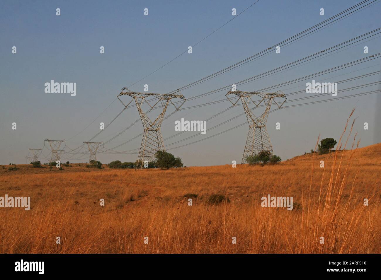 Electricity pylons near the Lion and Rhino Park Nature Reserve, Kromdraai, Krugersdorp, West Rand, Gauteng Province, South Africa. Stock Photo