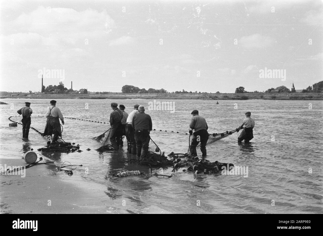salmon fishing, fishermen, lace seine, quoting Date: July 1949 Keywords: citing, edge seining, fishermen, salmon fishing Stock Photo