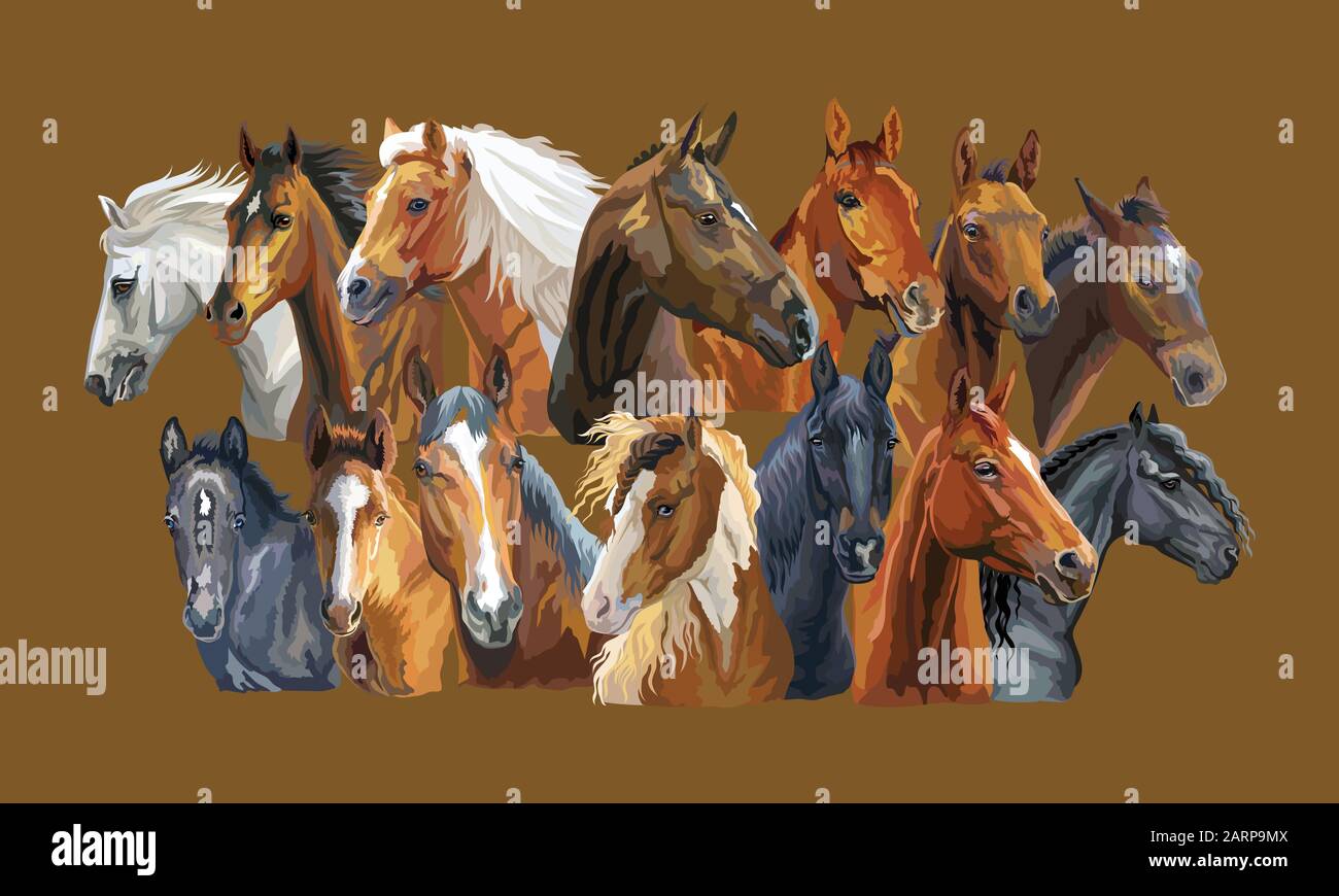 Set of colorful vector realistic portraits of horses breeds. Big group of horses isolated on brown background. Vector colorful portraits of horses. Il Stock Vector
