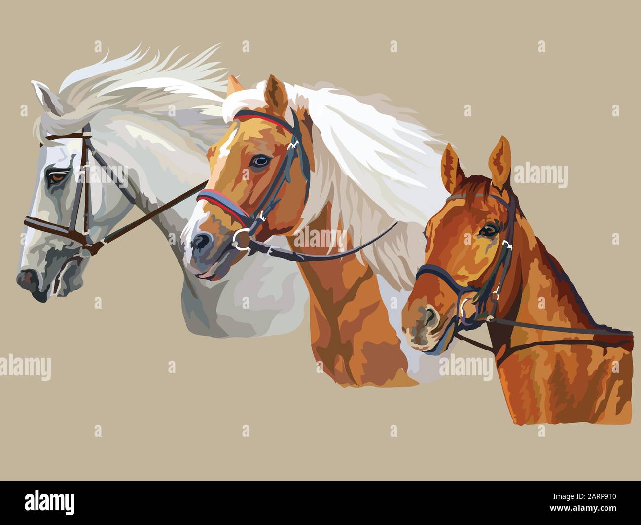 Colorful vector realistic portraits of three horses looking in profile. Group of horses in bridle isolated on beige background. Vector colorful portra Stock Vector