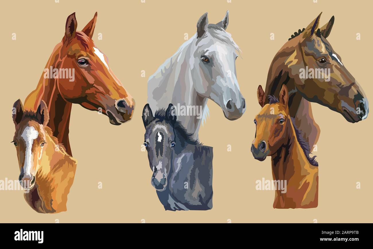 Set of colorful vector realistic portraits of mares and foals looking in profile. Group of horses isolated on beige background. Vector colorful portra Stock Vector