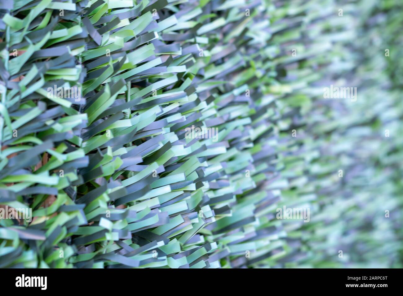 Artificial hedge. Green texture. Selective focus. Background. Stock Photo