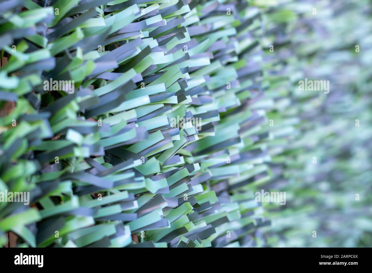 Artificial hedge. Green texture. Selective focus. Background. Stock Photo