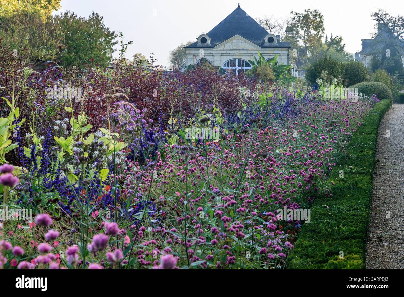 France, Indre et Loire, Loire Valley listed as World Heritage by UNESCO, Rigny Usse, Chateau d’Usse gardens, annuals plants flowerbed in October with Stock Photo