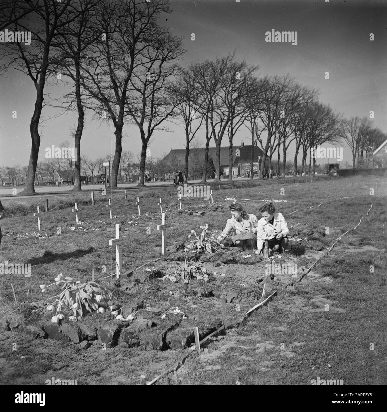 Front North-East Netherlands: Groningen-Friesland  Women take care of the graves of Canadian soldiers who were killed during the battle in the city of Groningen on April 16, 1945 at the temporary cemetery near Eelderwolde Date: april 1945 Location: Drenthe, Eelderwolde Keywords: cemeteries Stock Photo