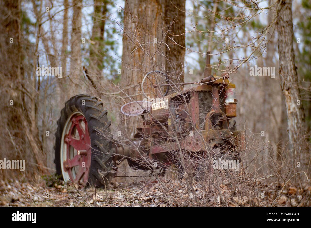 An old, red 1938 or 1939 International Farmalll Model F-14 gas powered tractor in a wooded area along Callahan Creek, Troy, Montana.  Manufacturer:In Stock Photo