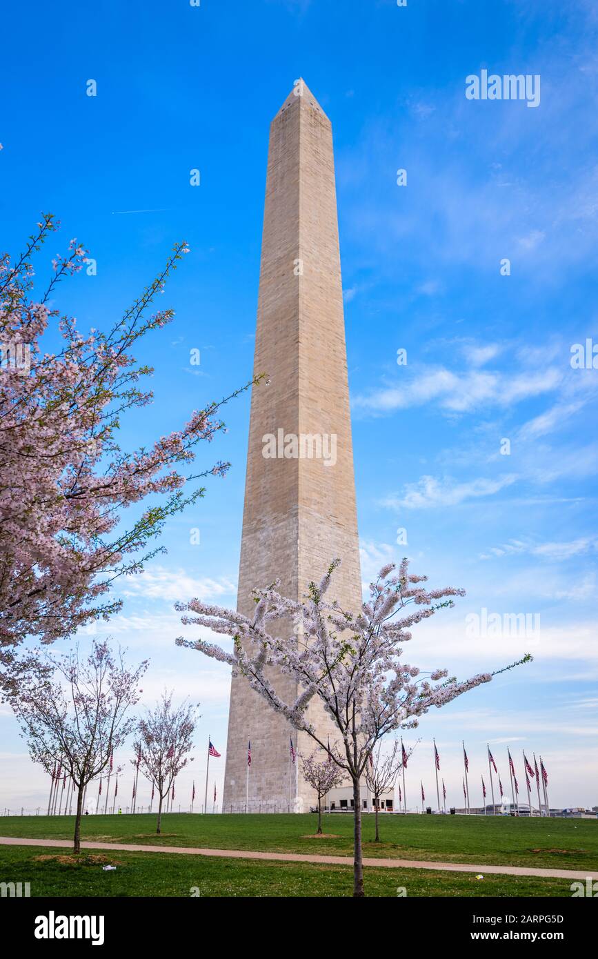 Washington DC, USA in spring season on the National Mall. Stock Photo