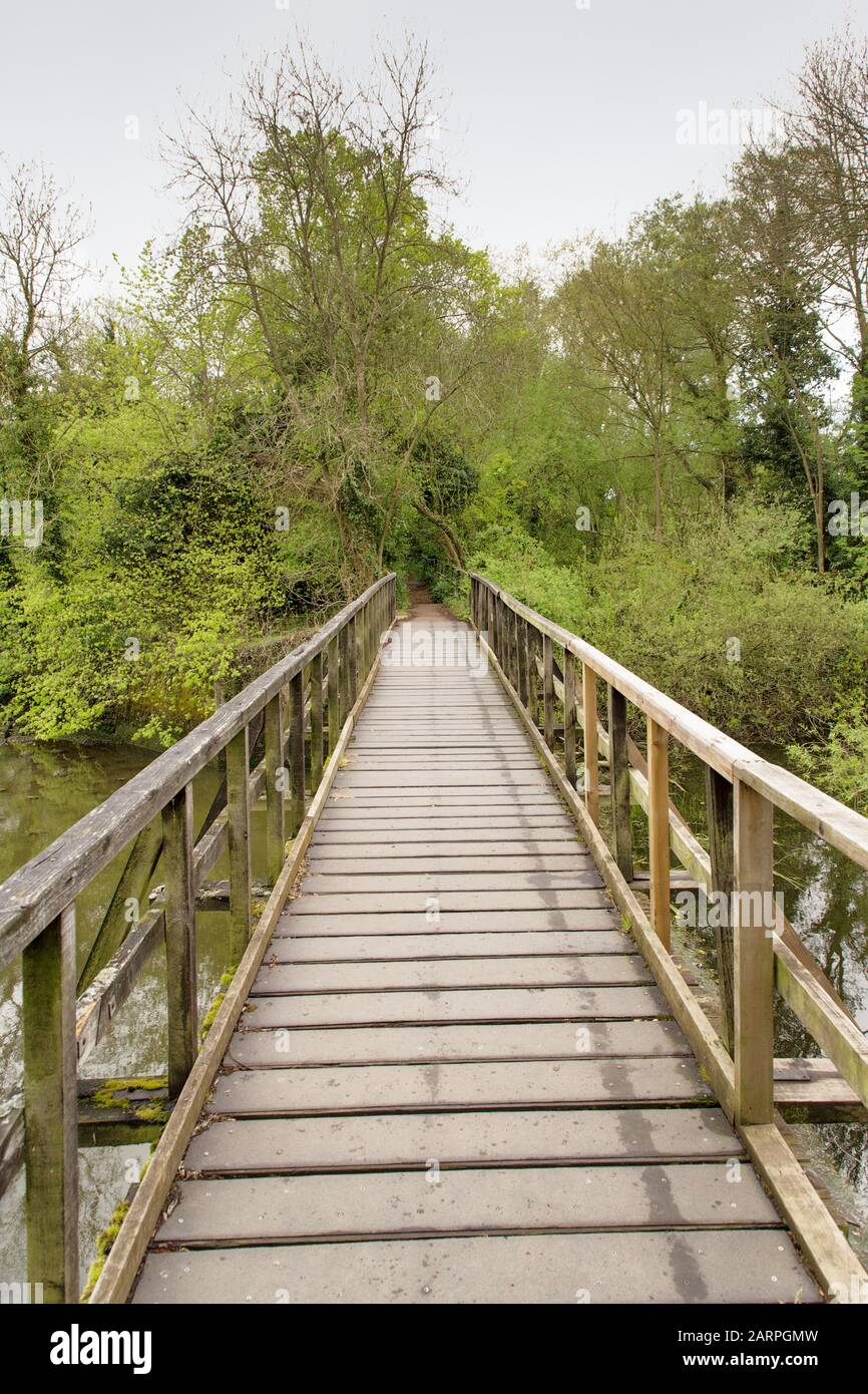 walkway across rivergoing into woods in essex england Stock Photo