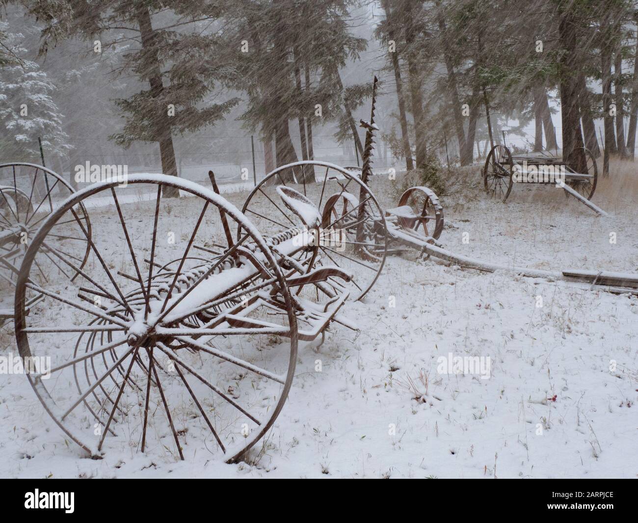 An old, rusty hay rake and other farm implements in the snow, on a ...