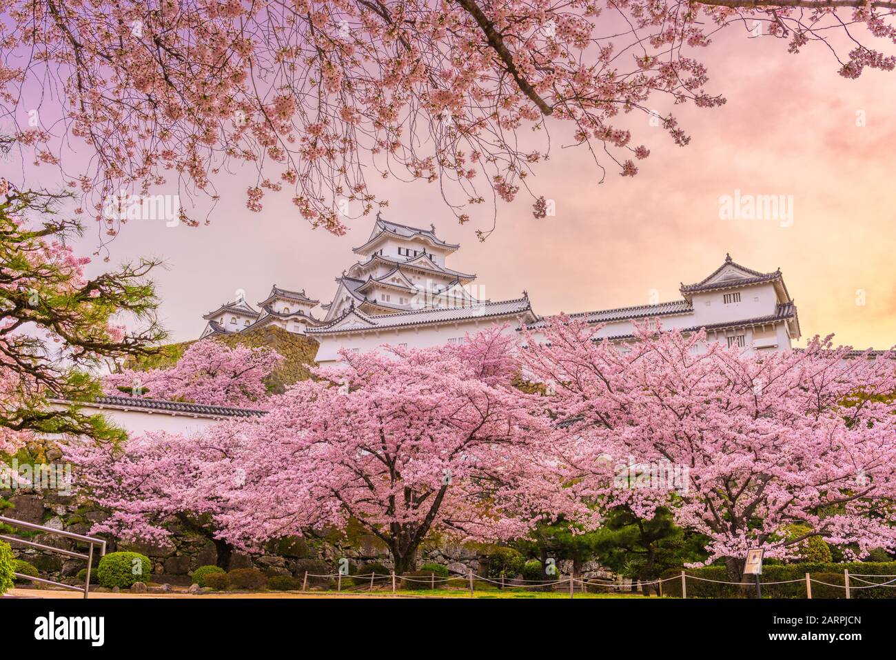 Himeji, Japan at Himeji Castle in spring with cherry blossoms in full