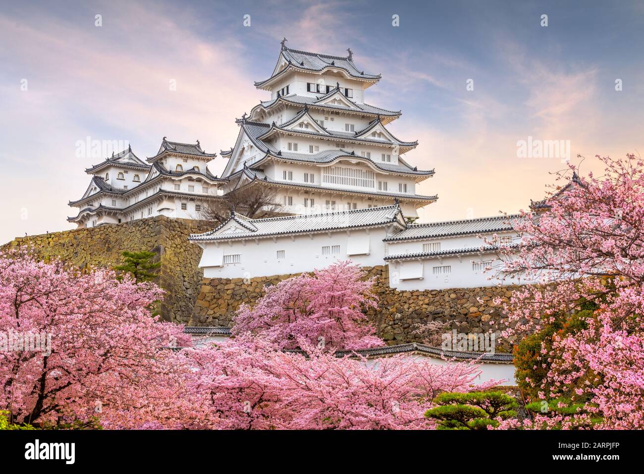 Himeji, Japan at Himeji Castle in spring with cherry blossoms in full bloom Stock Photo Alamy