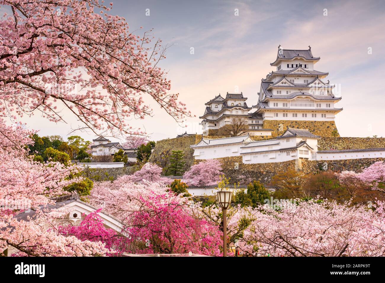 Himeji, Japan at Himeji Castle in spring with cherry blossoms in full bloom. Stock Photo