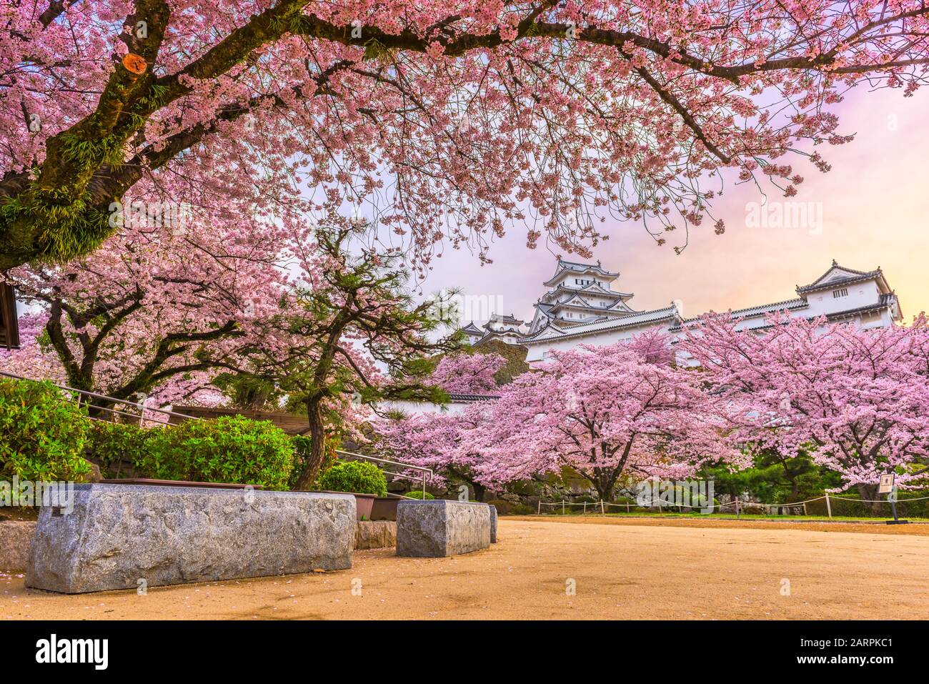 Himeji, Japan at Himeji Castle in spring with cherry blossoms in full bloom. Stock Photo