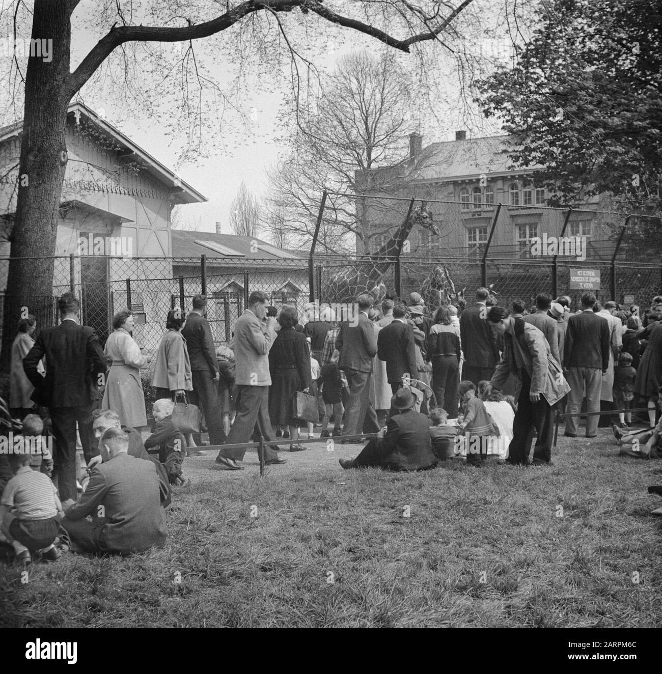 Printing in Artis on Ascension Day Date May 3, 1951 Location