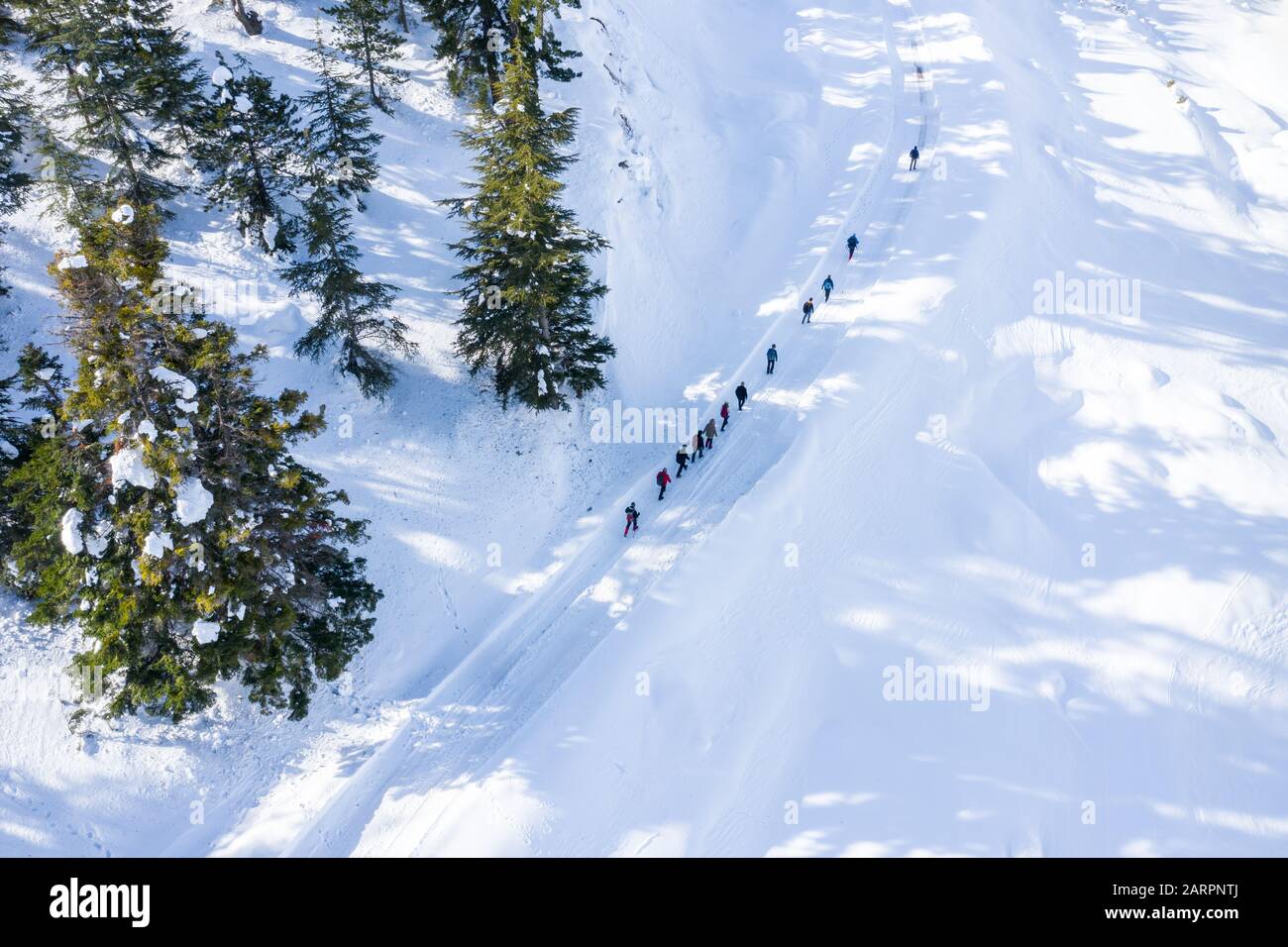 An aerial view s group of people trekking in the forest and mountains with covered snow Stock Photo