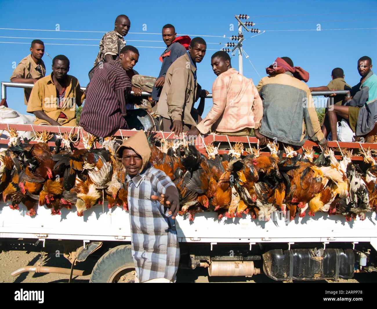 Heavily loaded truck transporting chickens and people to market in  Shashamane, Ethiopia. Stock Photo