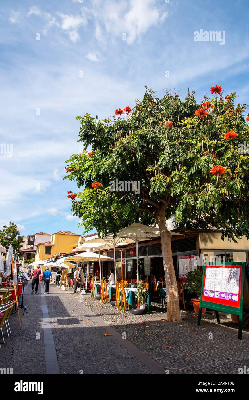 The main restaurant and cafe area in Funchal on the island of Madeira are filled with restaurants serving food from many different nationalities Stock Photo