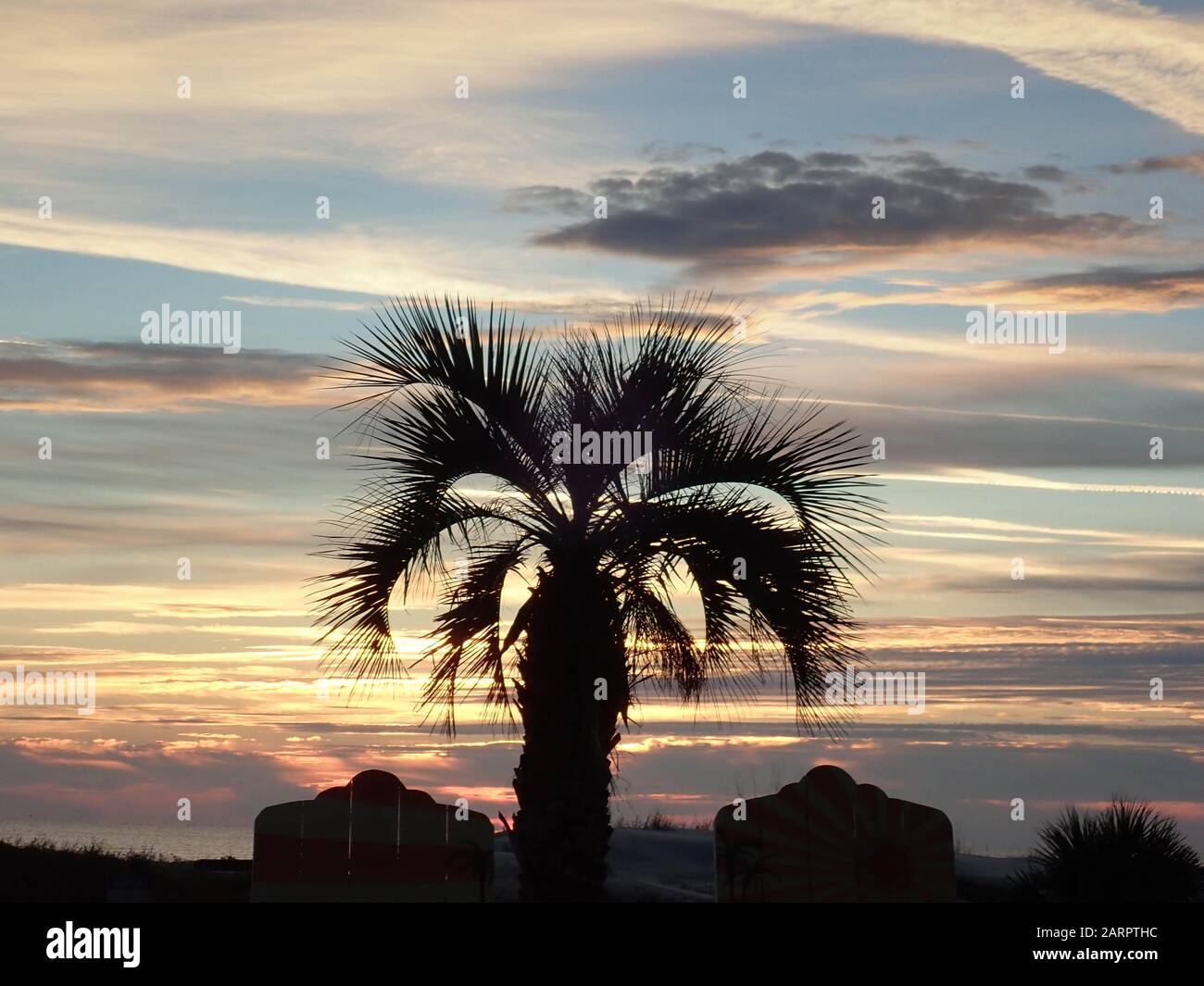 Palm tree at sunrise hi-res stock photography and images - Alamy