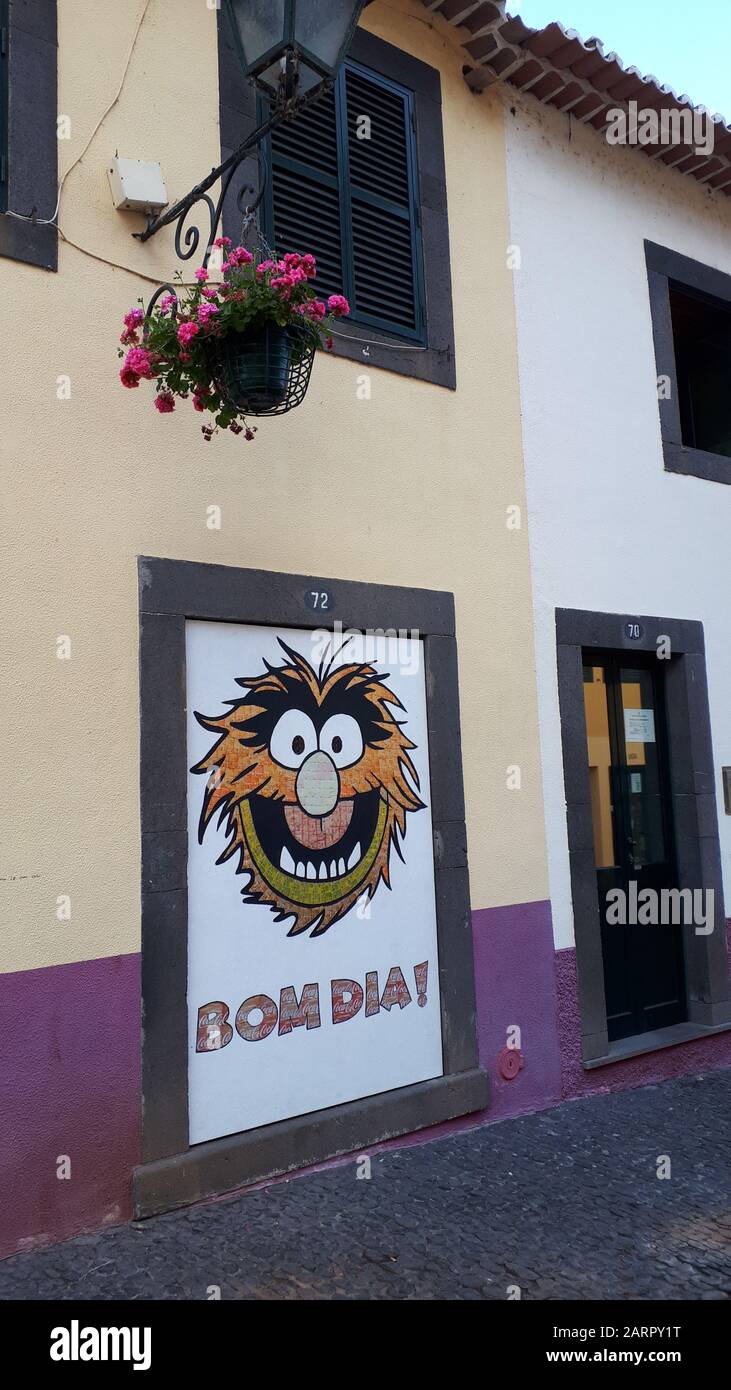 Mural in the backstreets in Camara de Lobos on Madeira made with the labels of drinks containers, some amusing and some of famous faces Stock Photo - Alamy Mural in the backstreets in Camara de Lobos on Madeira made with the labels of drinks containers, some amusing and some of famous faces Stock Photo - Alamy