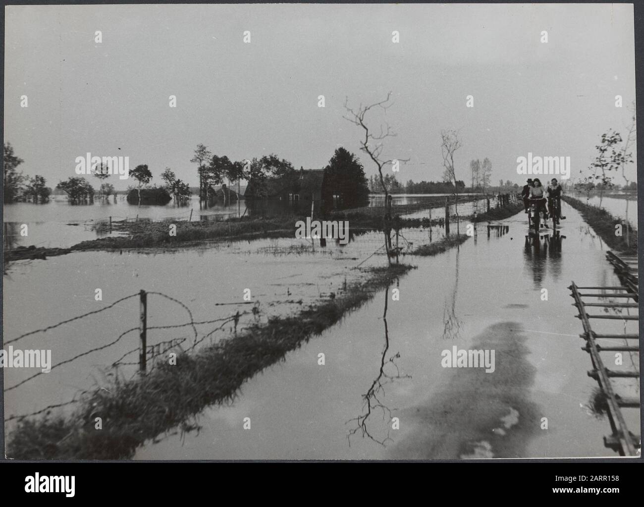 War, liberation and capitulation II  Three cyclists drive along a road in an inundated area Stock Photo