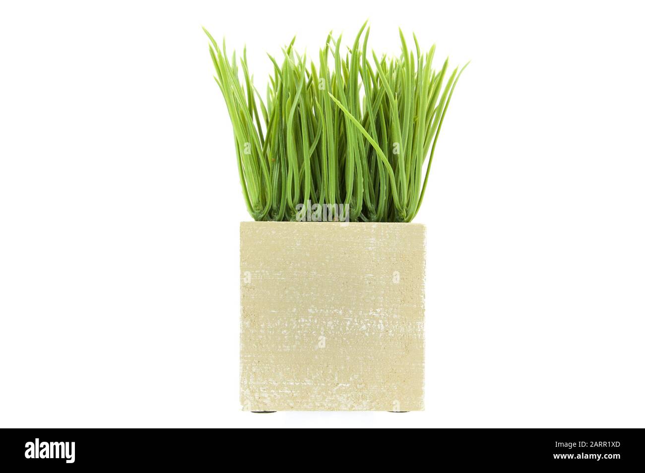green plant in a pot isolated on white background Stock Photo - Alamy