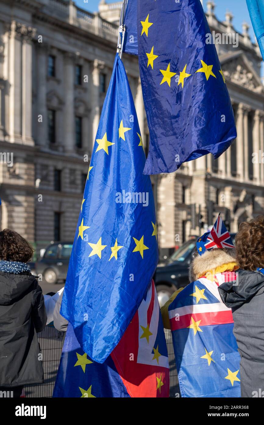 London, UK. 29th Jan, 2020. Anti Brexit protesters outside the Palace of Westminster Credit: Ian Davidson/Alamy Live News Stock Photo