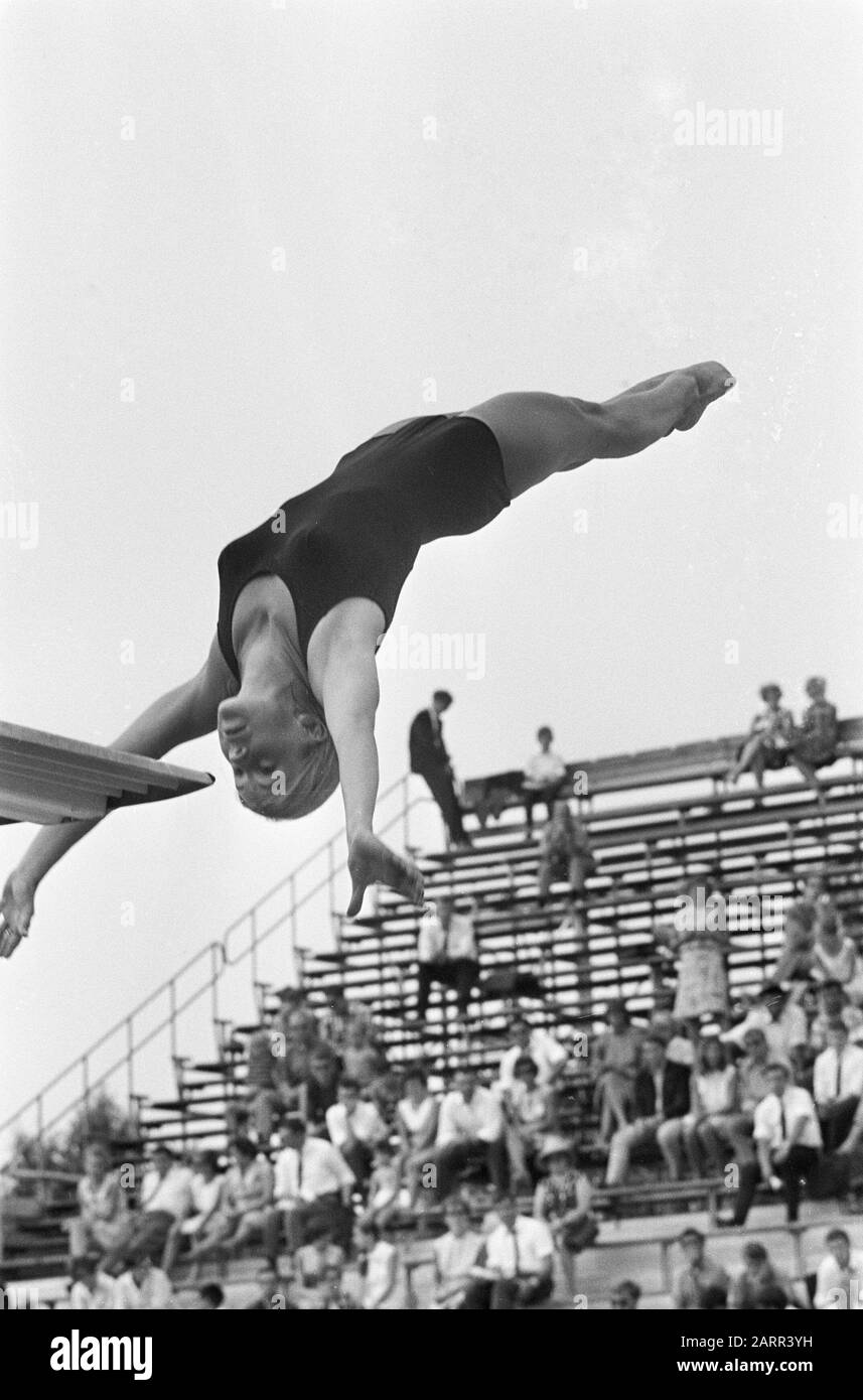 European Swimming Championships in Utrecht, jumping Tamara Fedosova in action of three meters board Date: August 21, 1966 Location: Utrecht Keywords: SNOWJUP, Swimming Championships Stock Photo