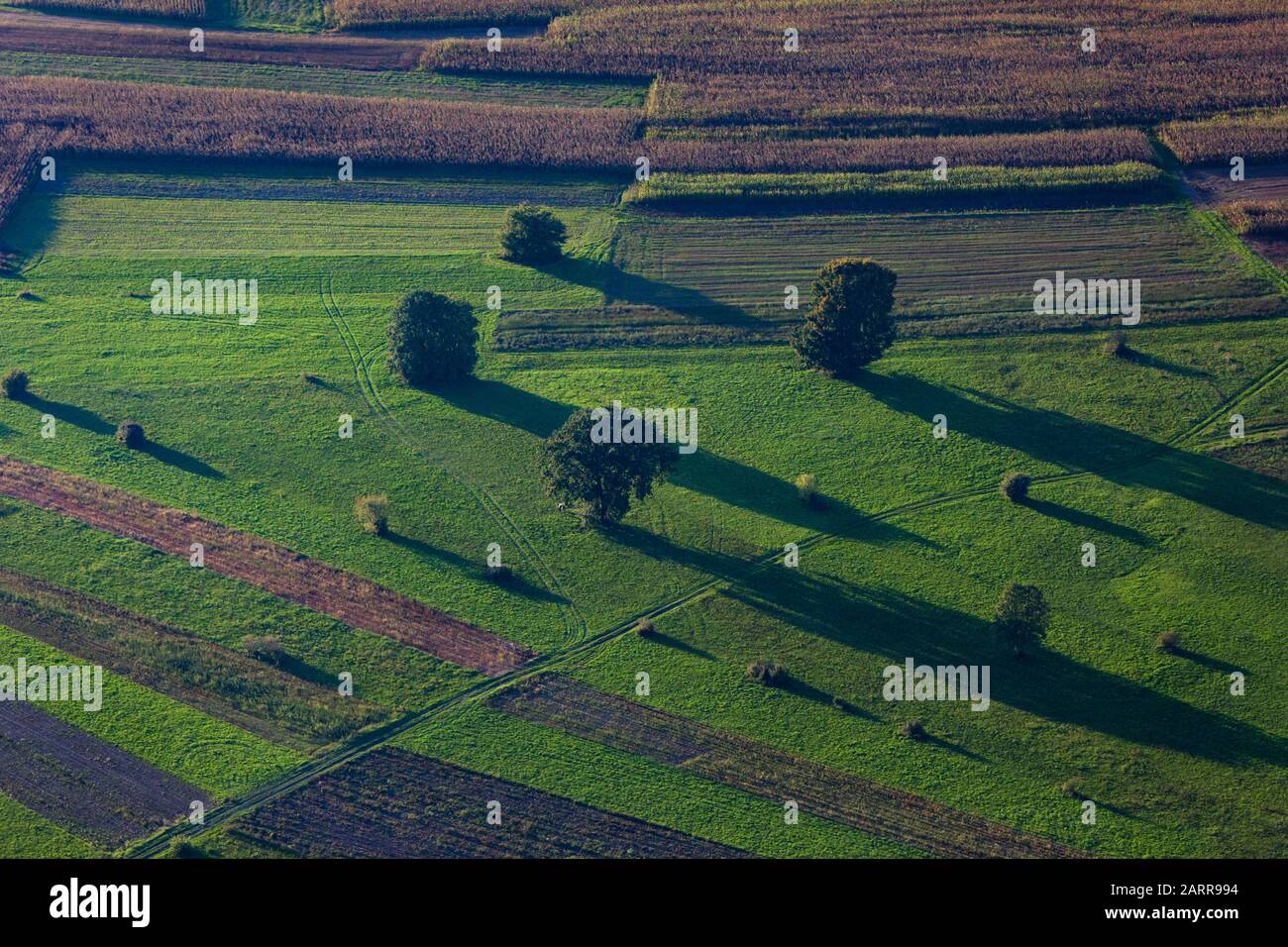 Aerial view of the mosaic of the fields and the woods Stock Photo - Alamy