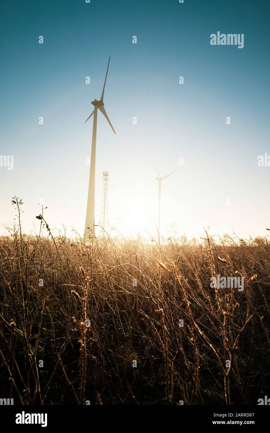 Wind turbines at sunset with blue and yellow colors on a meadow, concept of ecological energy, climate change, renewable energy Stock Photo