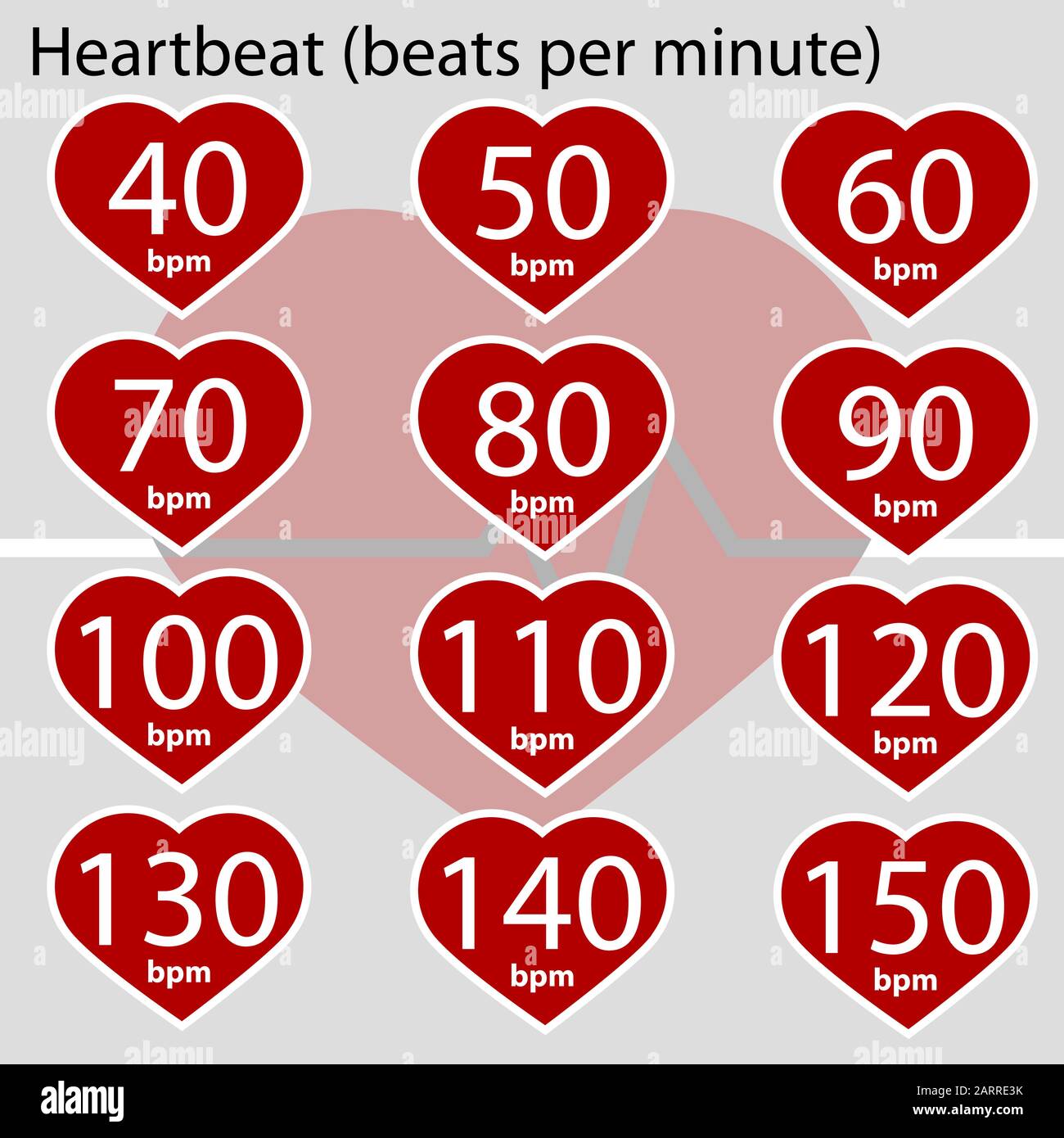 Infographic showing a heart and different values for heart beats per minute Stock Vector