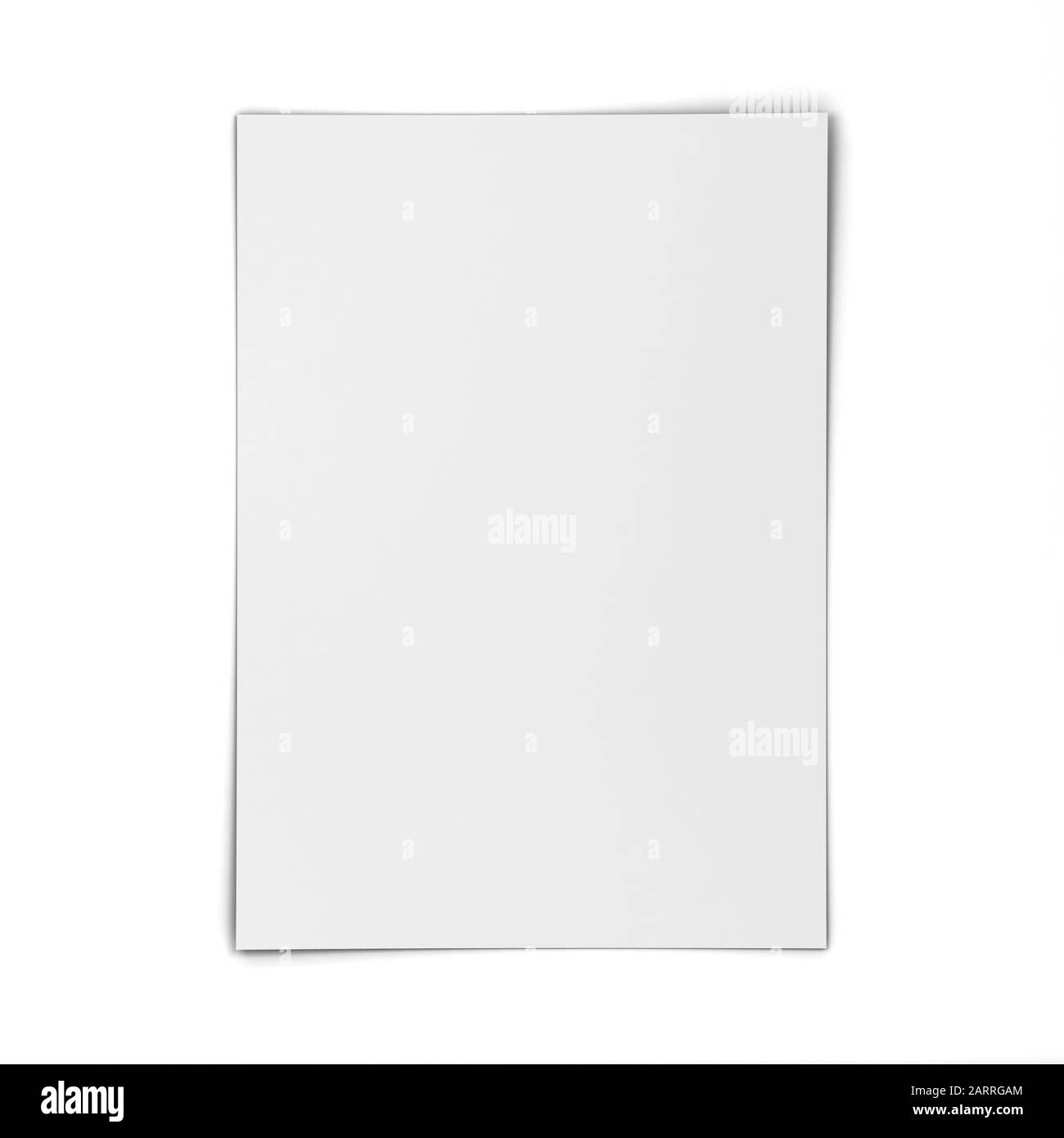 Blank sheet of paper. 3d illustration isolated on white background