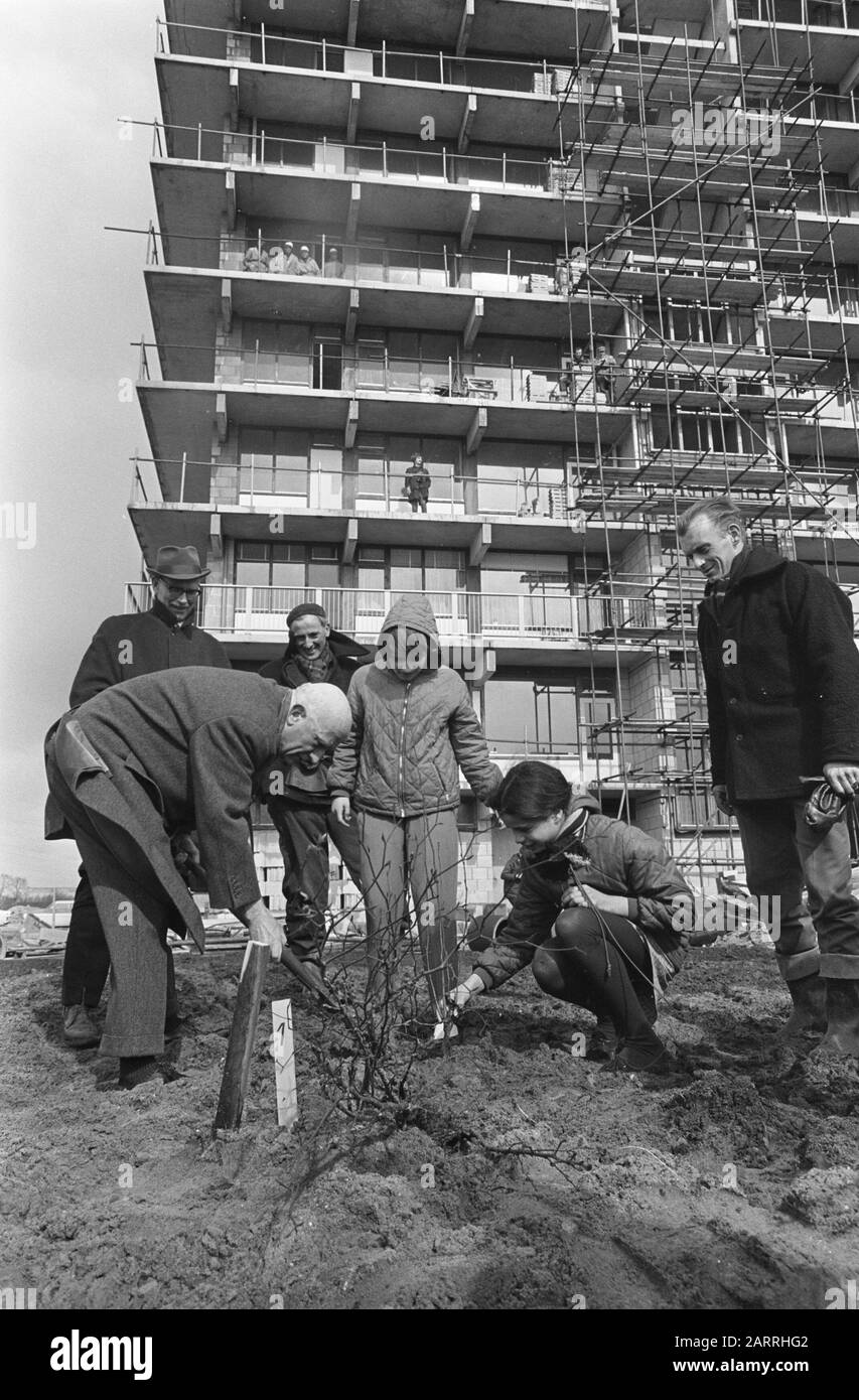 Schools plant trees in Bijlmermeer. Alderman Carriage helps a hand Date: April 3, 1968 Keywords: TREES, PLANTS, Schools Personal name: Carriage, P.J. Stock Photo