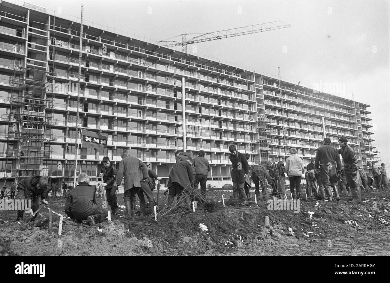 Schools plant trees in Bijlmermeer. Alderman Carriage helps a hand Date: April 3, 1968 Keywords: TREES, PLANTS, Schools Personal name: Carriage, P.J. Stock Photo
