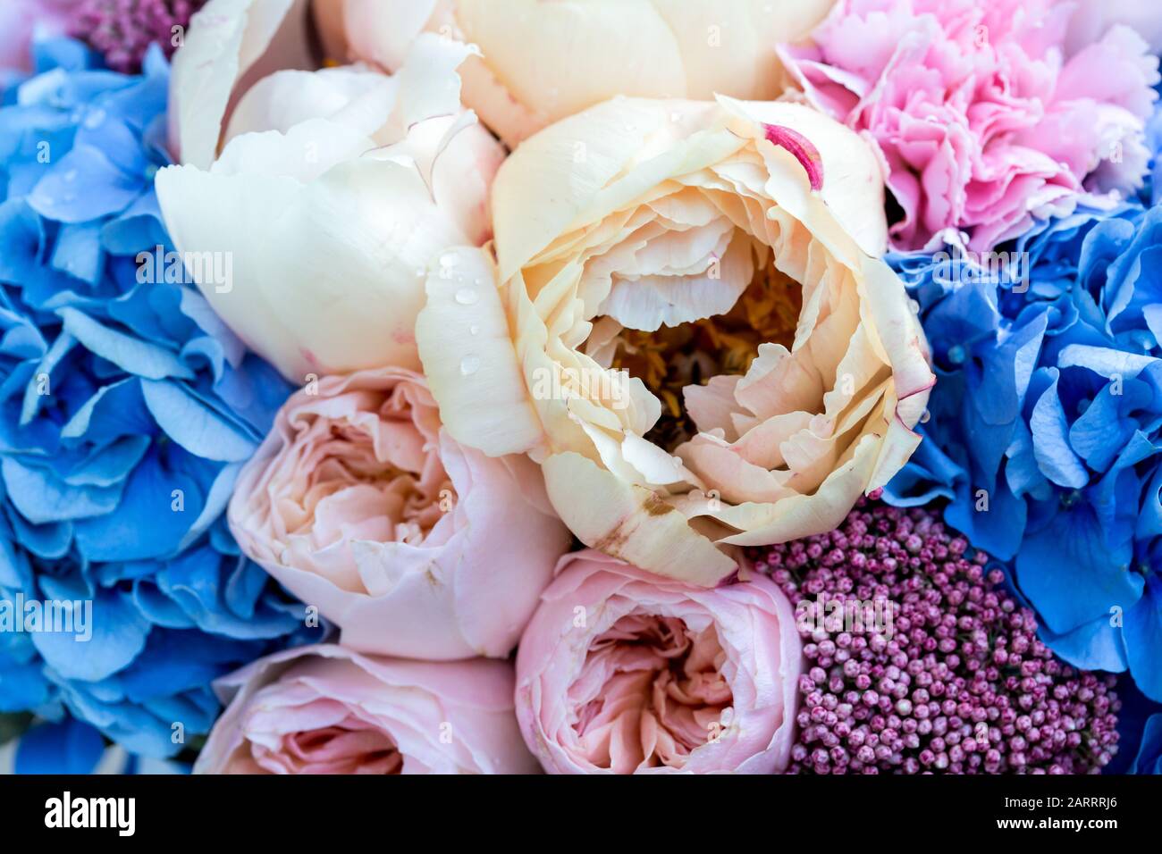 Bouquet of gentle peonies with pink carnations flowers. Flower festive