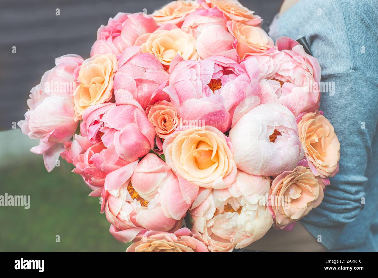 Womans is holding big bouquet of pink peonies and roses. Toned image ...