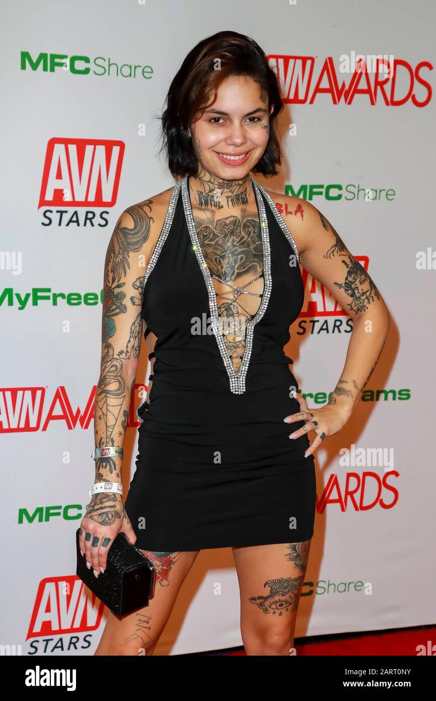 Genevieve Sinn attends the 2020 Adult Video News AVN Awards at The Joint inside Hotel Hard Rock & Casino in Las Vegas, Nevada, USA, on 25 January 2020. | usage worldwide Stock Photo