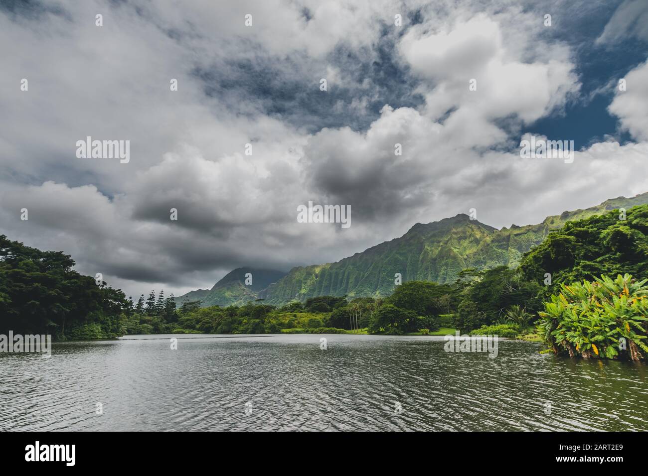 Hoomaluhia park botanical gardens hi-res stock photography and images -  Alamy