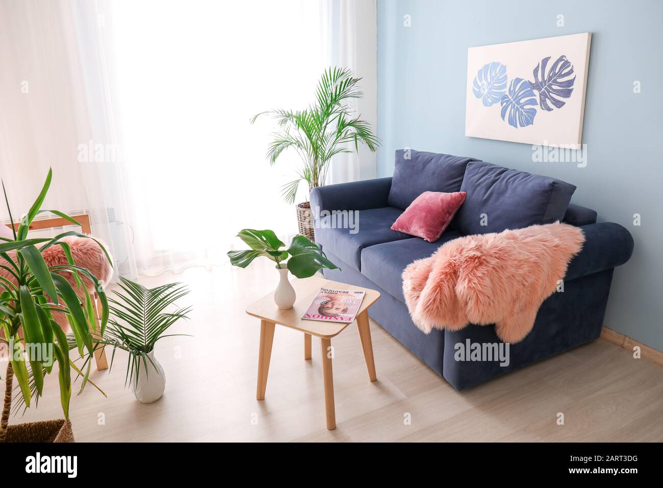 Interior of modern room with comfortable sofa and houseplants Stock ...