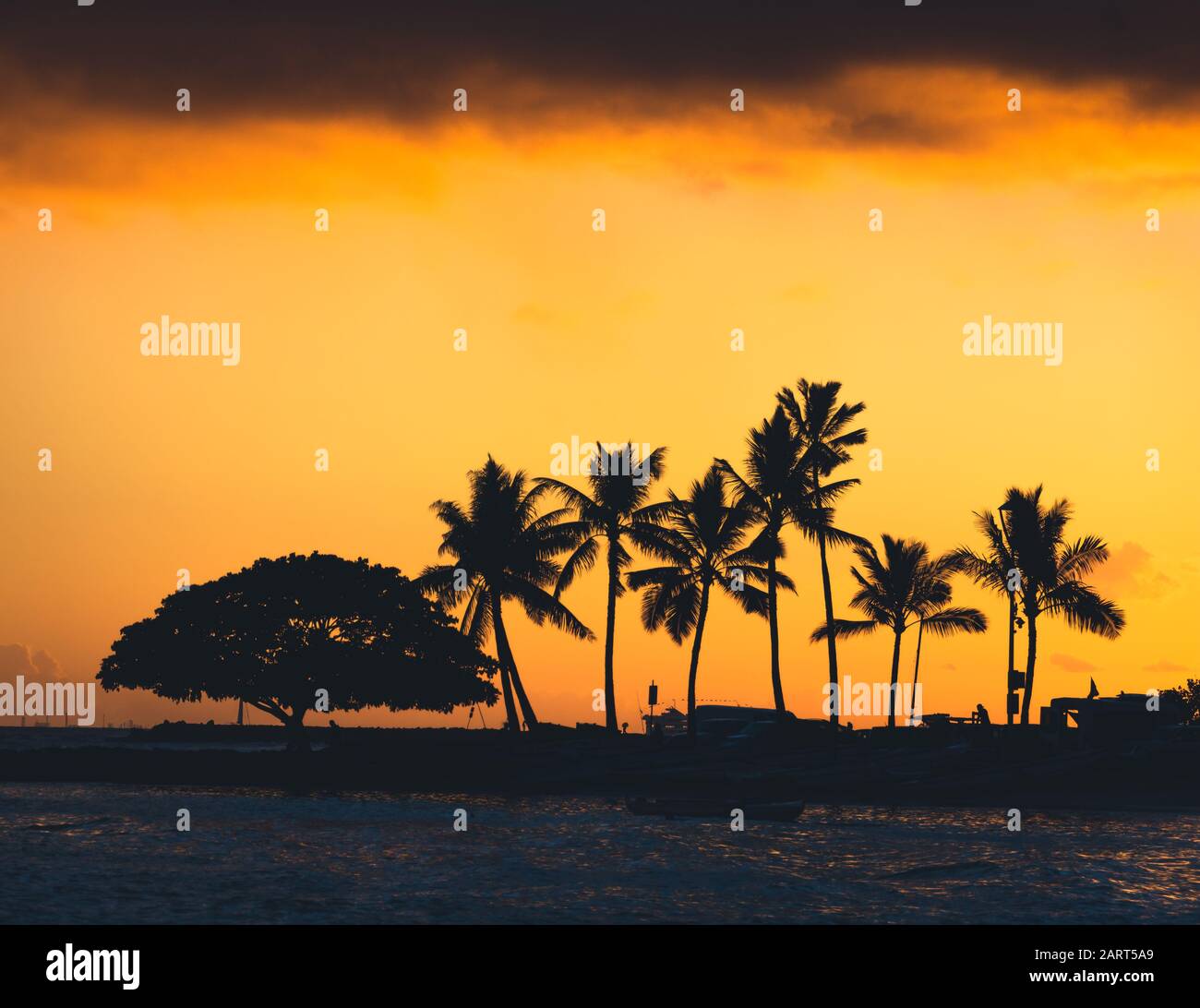 Sunset hawaii palm tree hi-res stock photography and images - Alamy