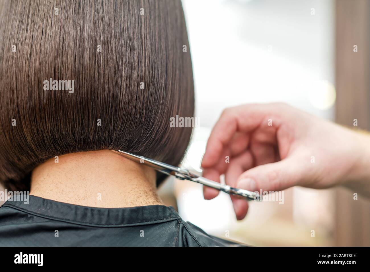 Hands Of Professional Hairdresser Cuting Hair Tips Of Woman Back