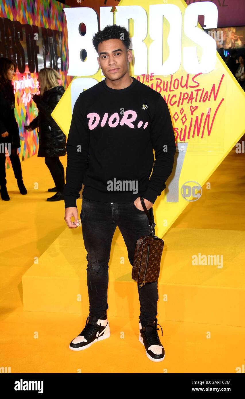 Jordan Hames attending the world premiere of Birds of Prey and the Fantabulous Emancipation of One Harley Quinn, held at the BFI IMAX, London. Stock Photo