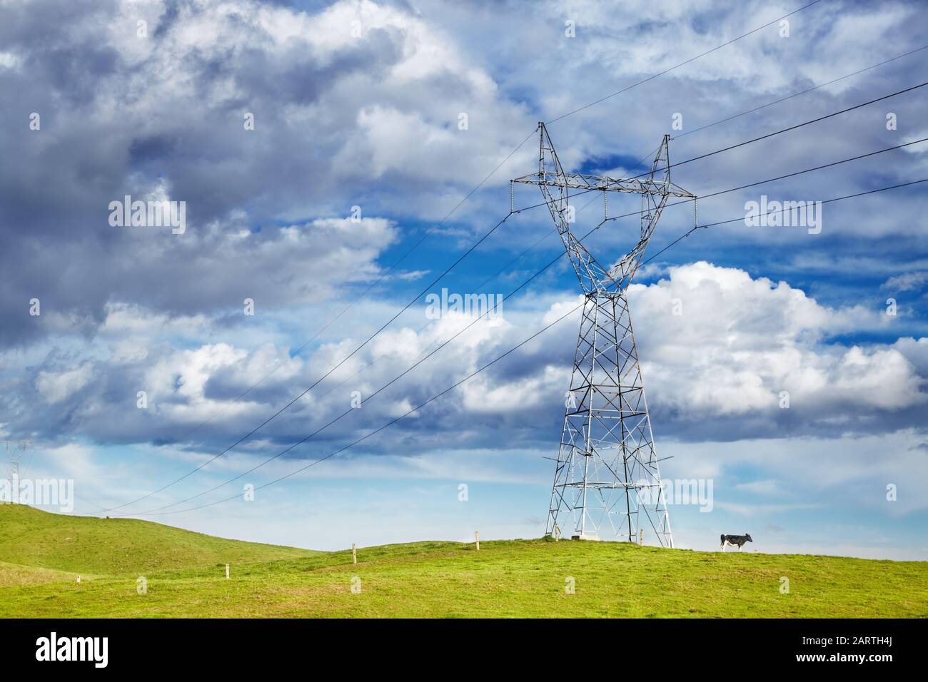 Landscape with electric power-line and grazing cow against blue sky, ecology concept Stock Photo