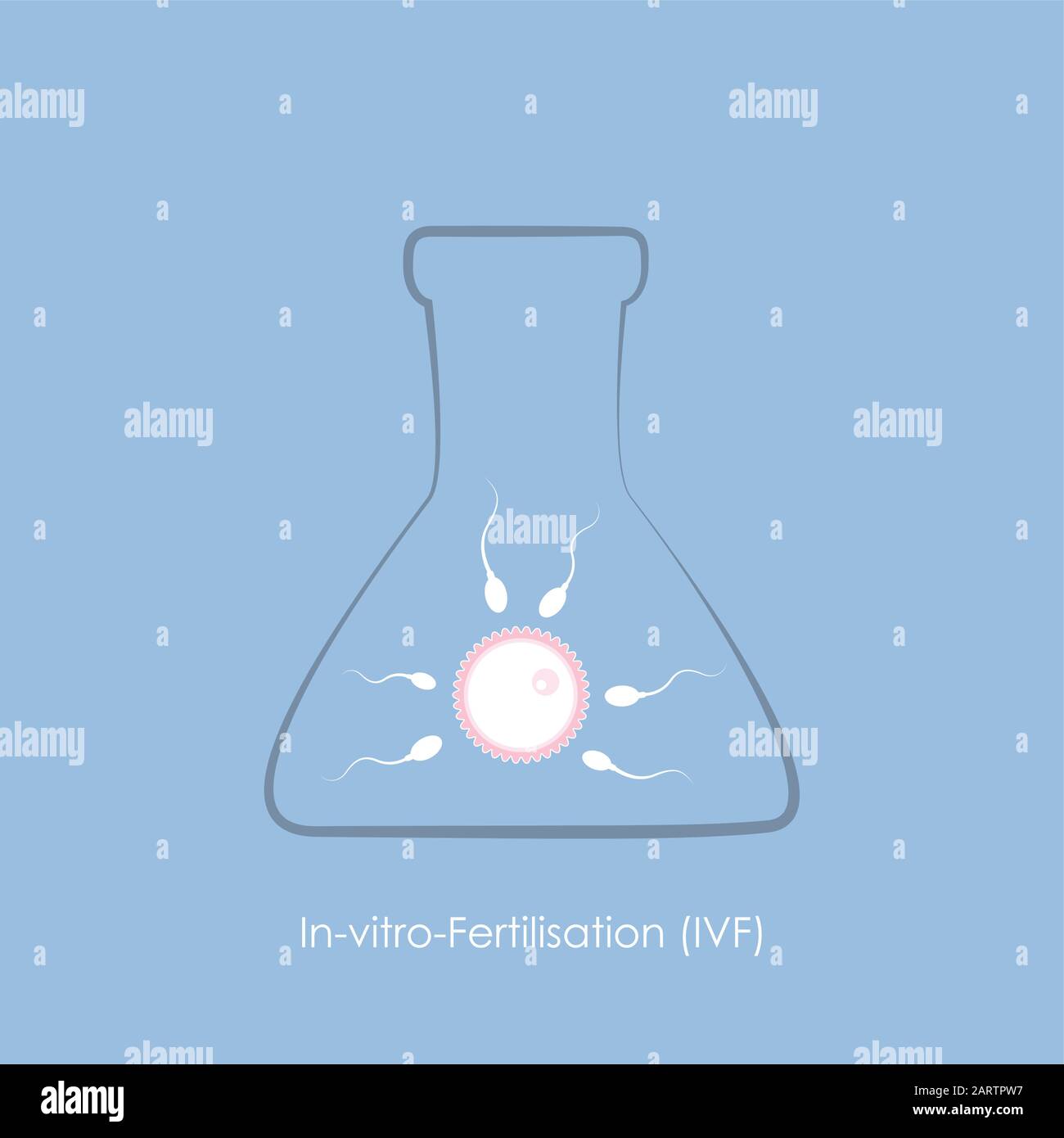 fertility reproduction of ovum and spermatozoon IVF vector illustration EPS10 Stock Vector