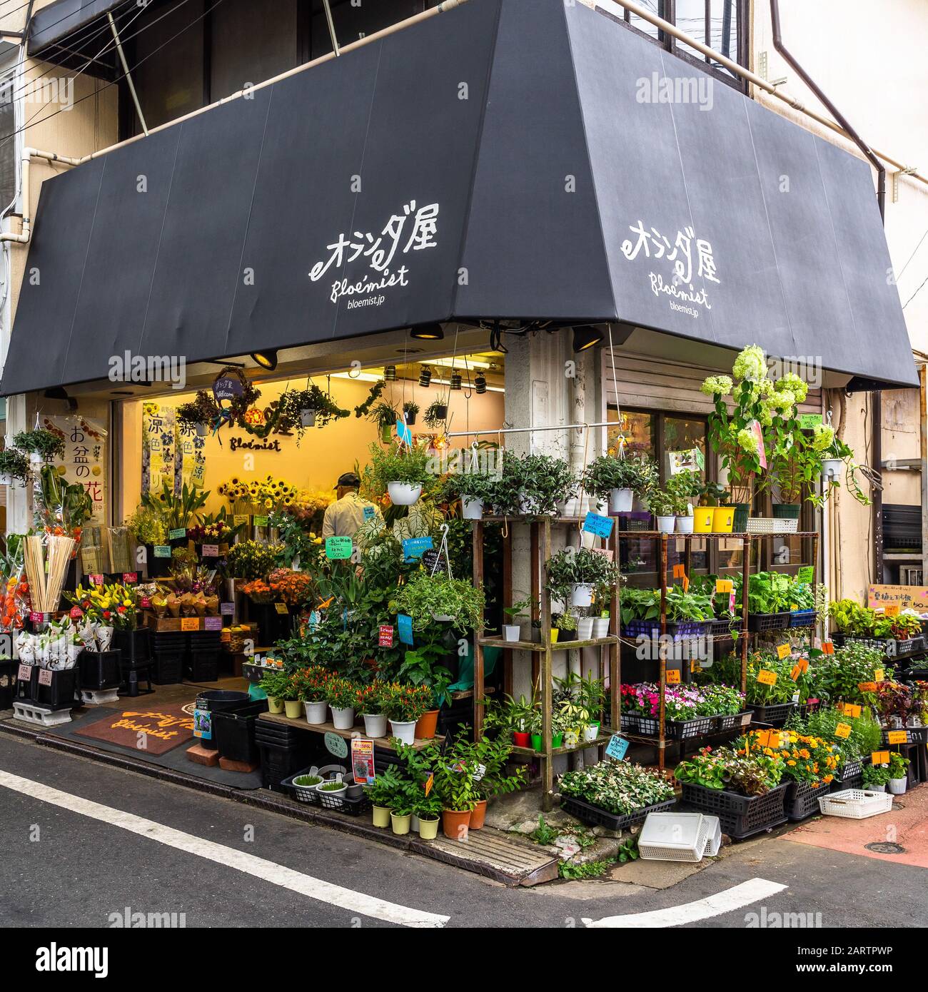Tokyo, Japan, August 2019 - A colorful flower shop in a street of Setagaya neighborhood. Stock Photo