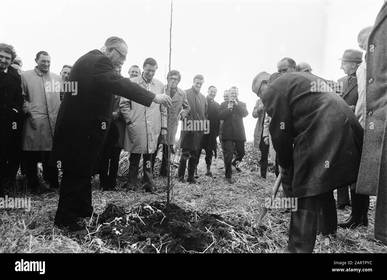 Benefit tree Black and White Stock Photos & Images - Alamy