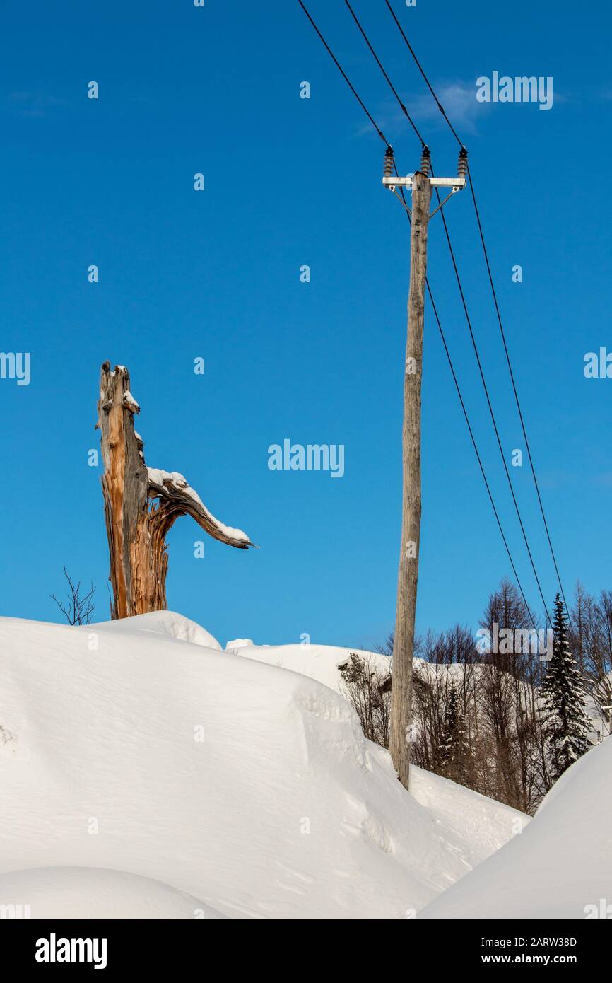 Electrical cables covered in snow, near Komna plateau Stock Photo Alamy