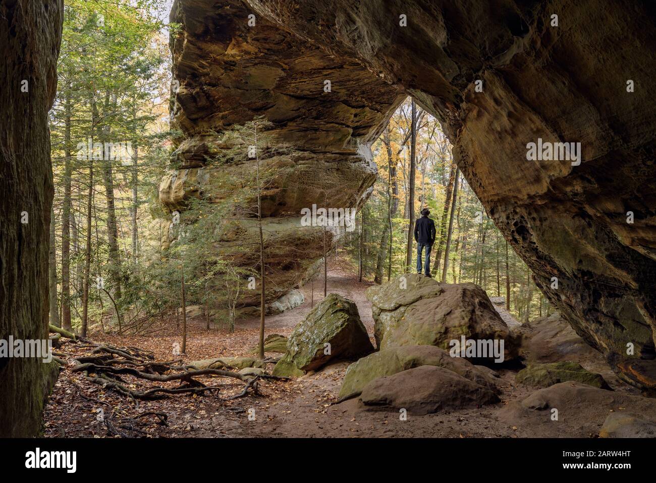 USA, Deep South, Tennessee, Big South Fork National River and